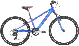 Bicycle prize