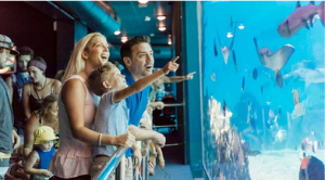 1 Night Family Getaway to Sea World prize